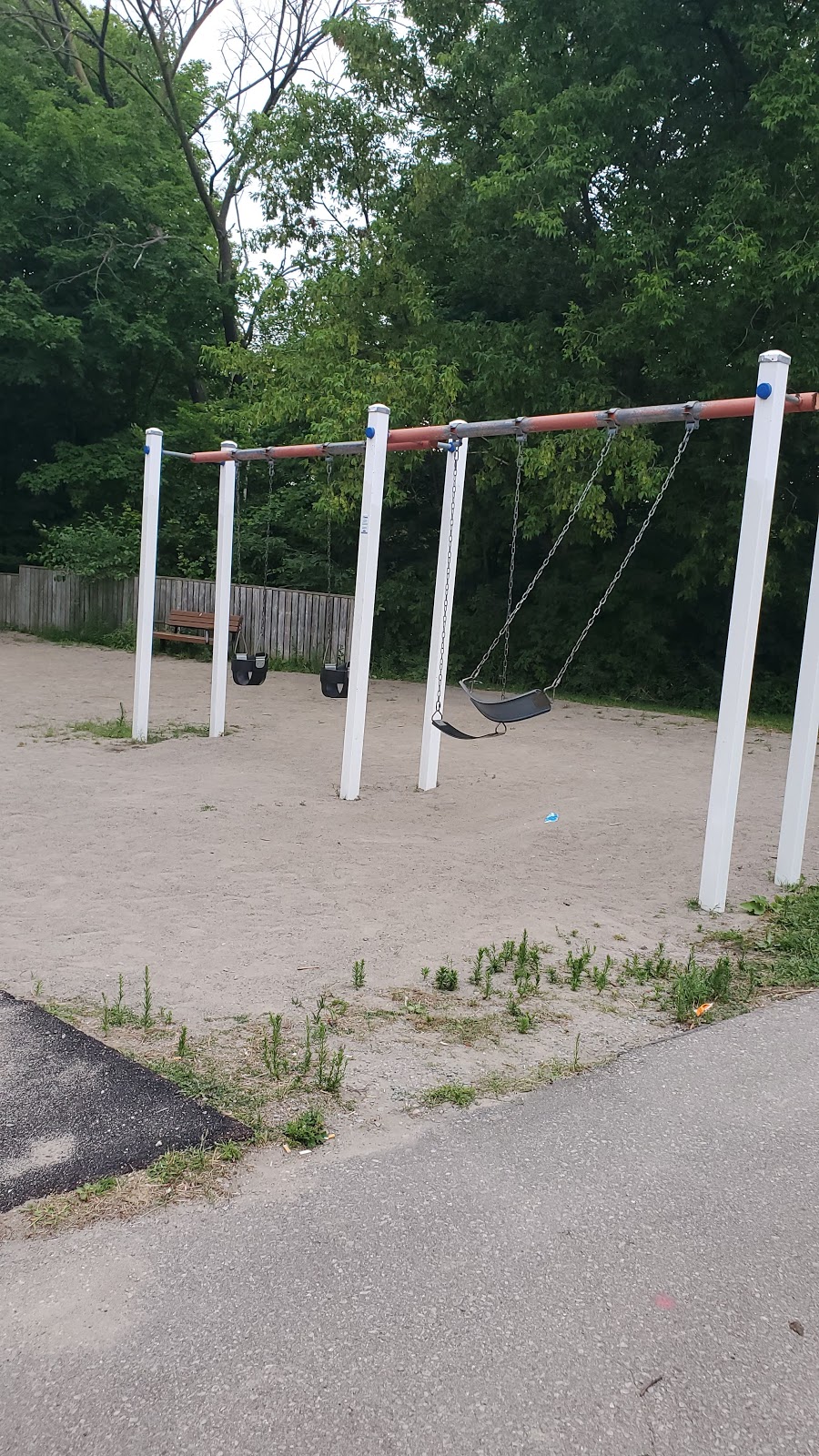Northwood Swimming Pool | 15 Clubhouse Ct, North York, ON M3L 2K5, Canada | Phone: (416) 395-6695