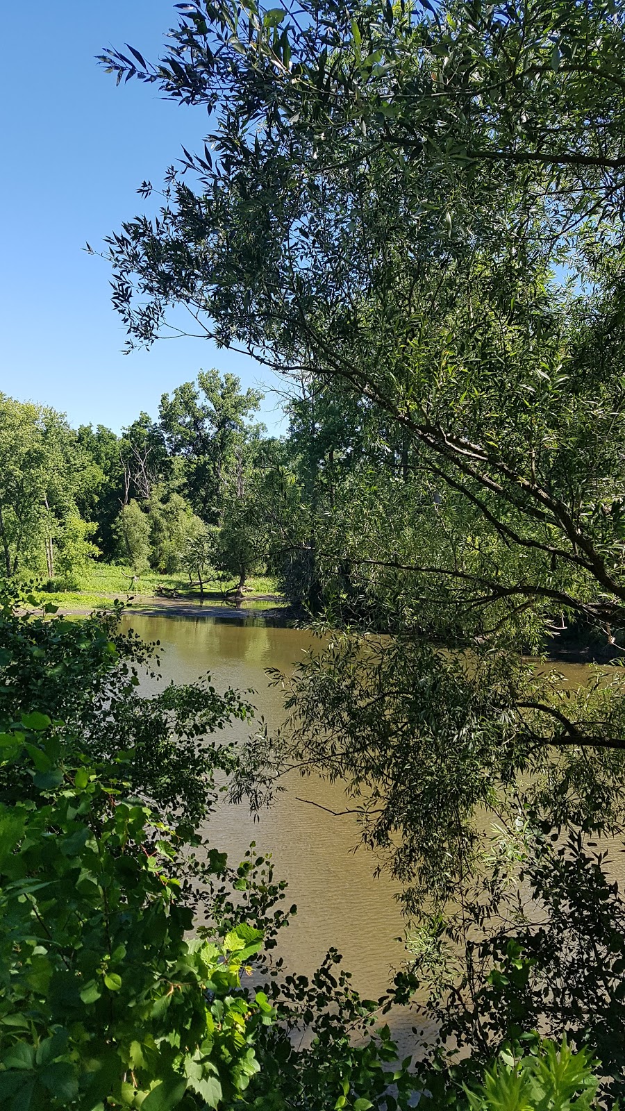 Ross Park | 1250 Richmond St, London, ON N6A 3L5, Canada | Phone: (519) 661-5575