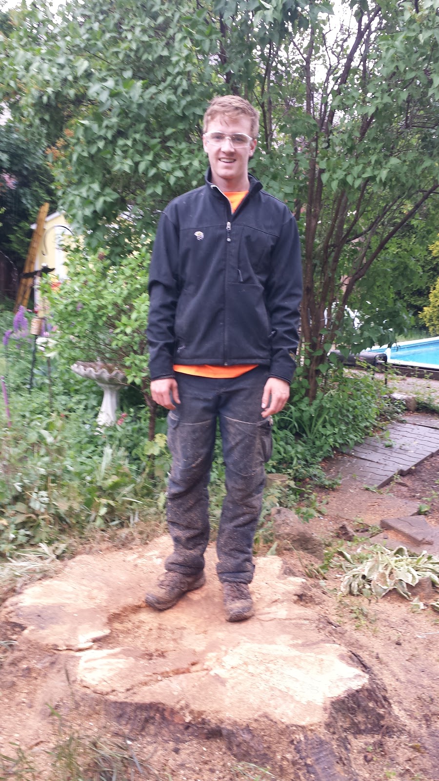 McFarlan Tree Care Inc. | 572 Huron Dr, Burlington, ON L7T 3V5, Canada | Phone: (905) 516-4453