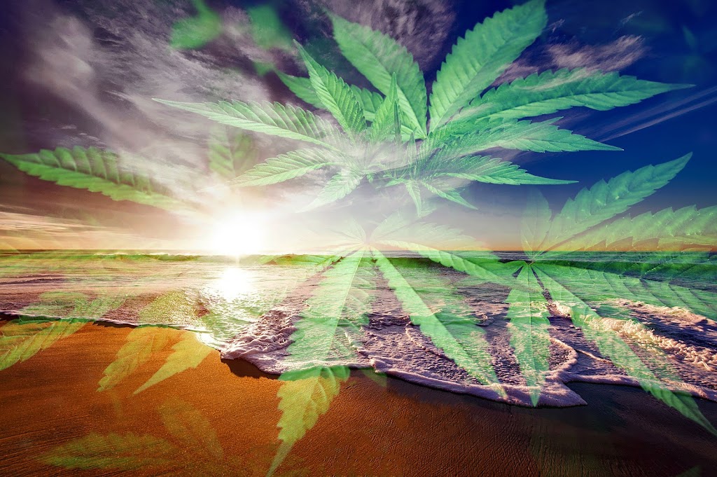 High Times Oka | 910 Rang Ste Philomène, Oka, QC J0N 1E0, Canada | Phone: (514) 295-3093