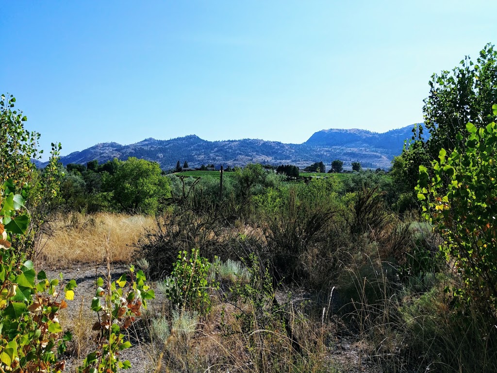 sẁiẁs Provincial Park (Haynes Point) | Okanagan-Similkameen A, BC V0H 1V0, Canada | Phone: (778) 437-2295