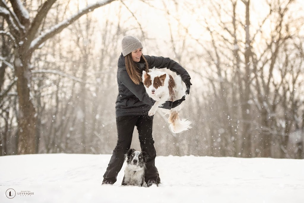 Alexandra Côté, entrainement canin | 3755 Chem. de lAéroport, Thetford Mines, QC G6G 5R7, Canada | Phone: (418) 334-9974