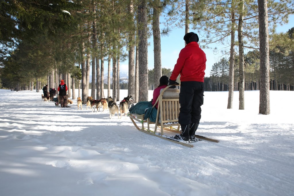 Mont-Tremblant Dogsledding | 121 Chemin de lAlbatros, Mont-Tremblant, QC J8E 1S1, Canada | Phone: (819) 681-5519