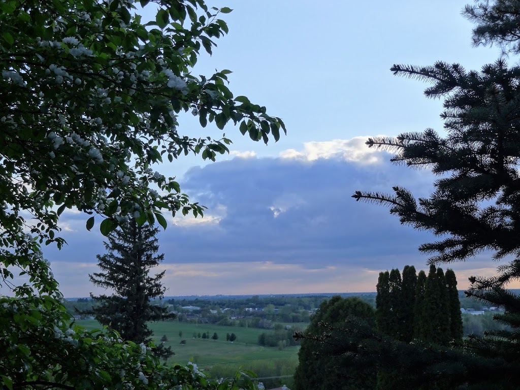 Boisé Stein | Boulevard des Bois Francs S, Victoriaville, QC G6P 5Y1, Canada | Phone: (819) 758-1571