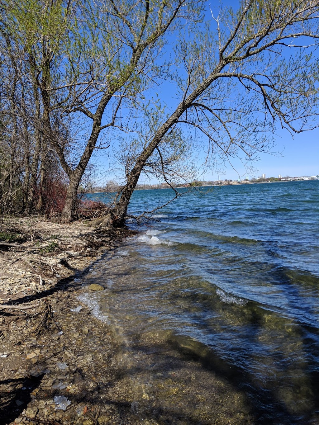 River Lea | Park Rd, Grand Island, NY 14072, USA