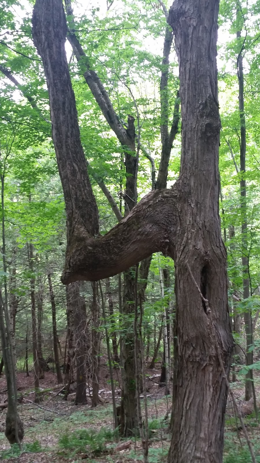 Conservation Lands | Mono Adjala Townline, Orangeville, ON L9W 2Z2, Canada | Phone: (416) 661-6600