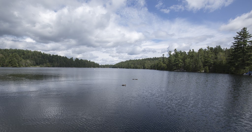 Northland Paradise Lodge | 51 Stevens Rd, Temagami, ON P0H 2H0, Canada | Phone: (705) 569-3791