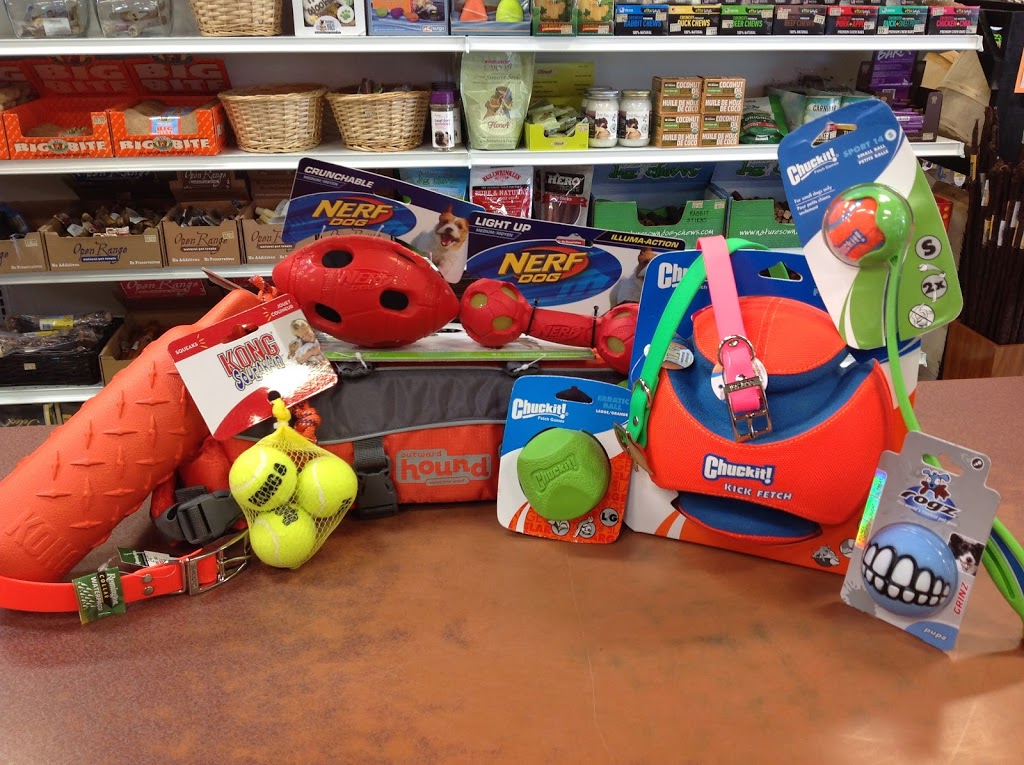 Global Pet Foods | 2316 Durham Regional Hwy 2 #1, Bowmanville, ON L1C 3K7, Canada | Phone: (905) 623-4302