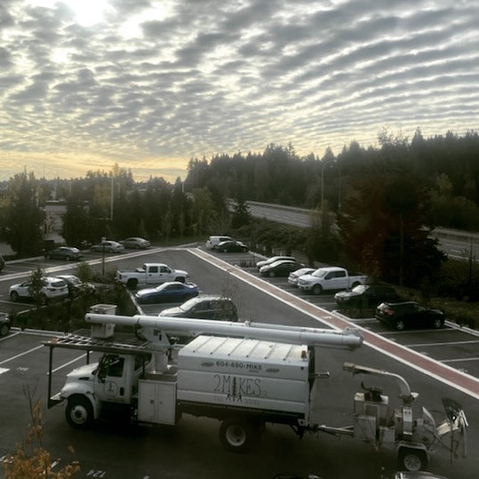 2 Mikes Tree Service | 7217 Lantzville Rd, Lantzville, BC V0R 2H0, Canada | Phone: (250) 714-9214