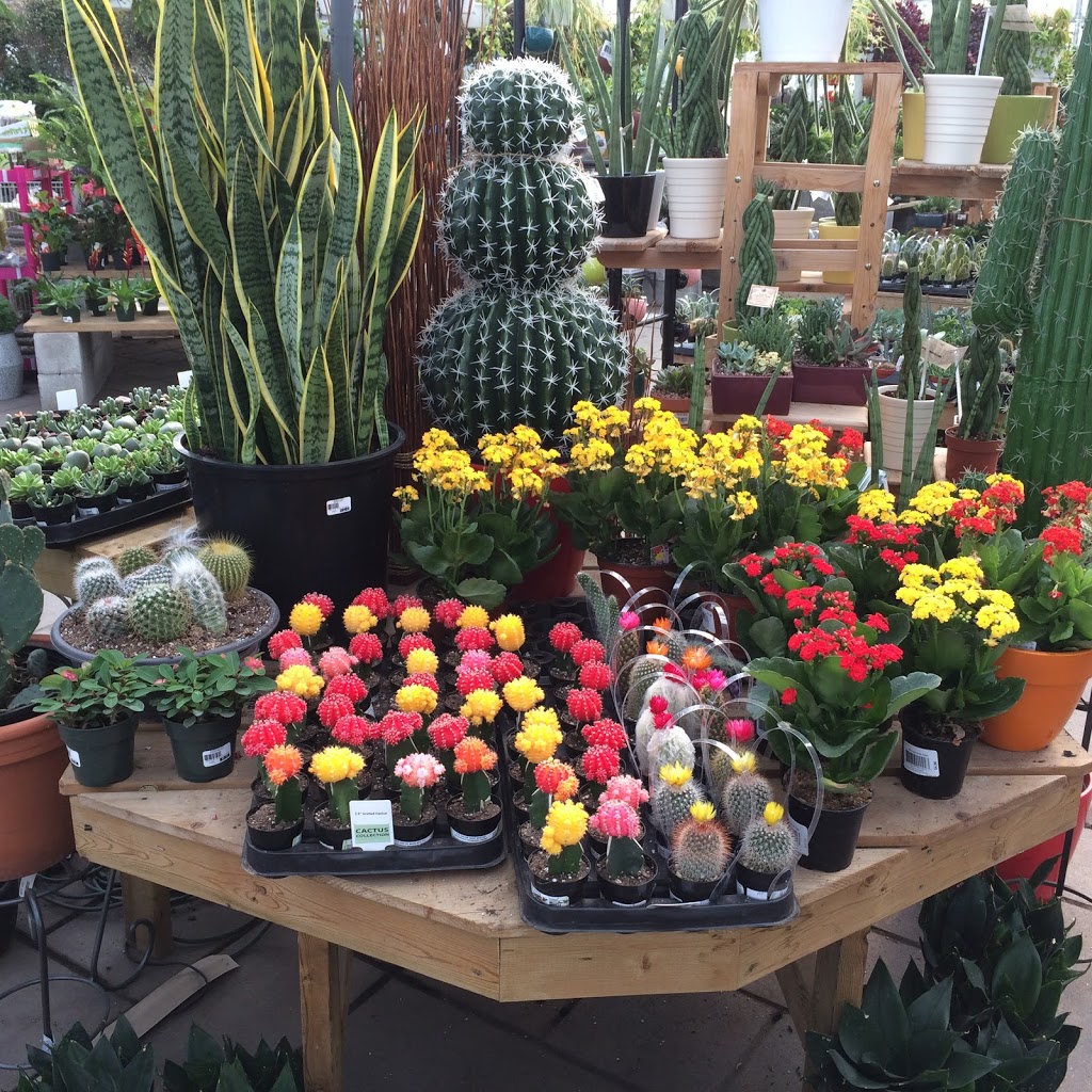 Centre De Jardin Brossard Inc | 6305 Grande Allée, Brossard, QC J4Z 3H6, Canada | Phone: (450) 443-2299
