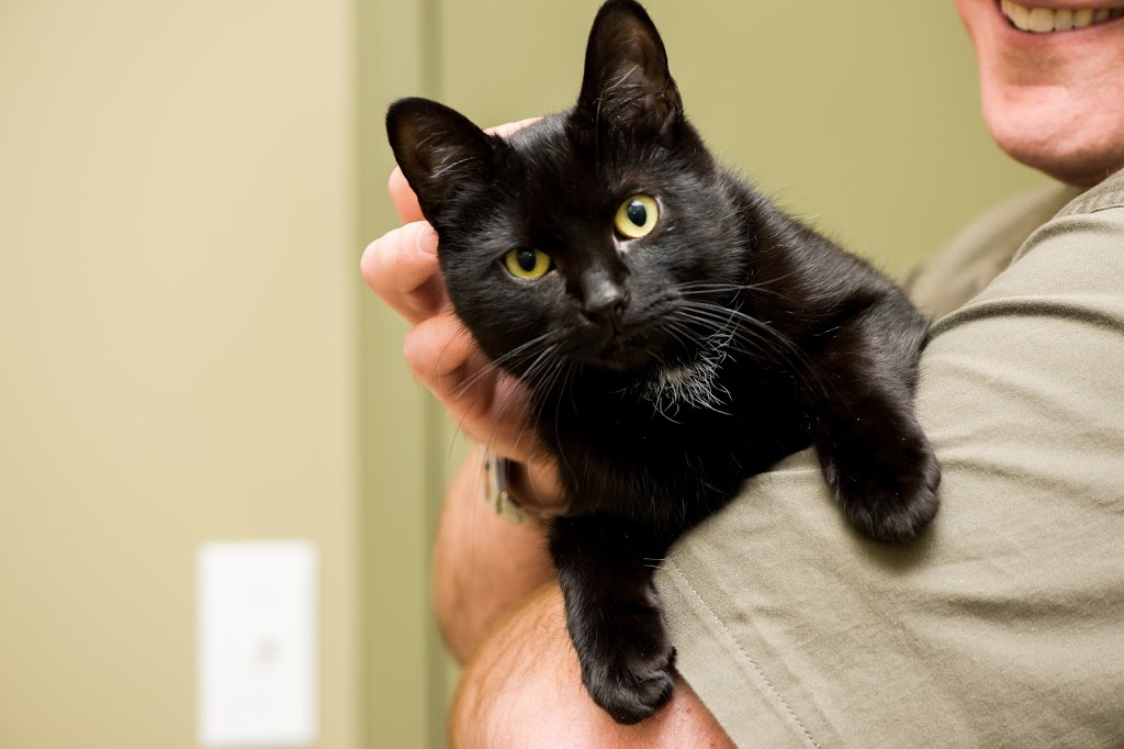 Westmount Neighbourhood Pet Clinic | 851 Wonderland Rd S, London, ON N6K 4T2, Canada | Phone: (519) 649-0080
