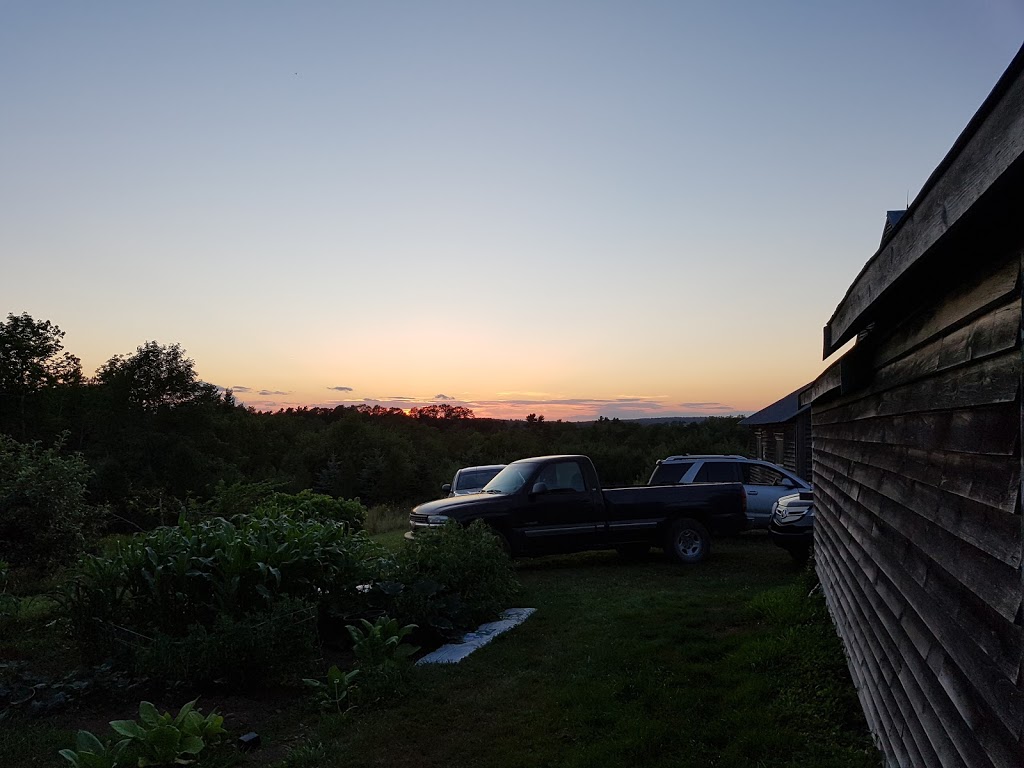 Natures Point of View Outdoor Adventures | 37 Bruhm Ln, Mahone Bay, NS B0J 2E0, Canada | Phone: (902) 624-9638