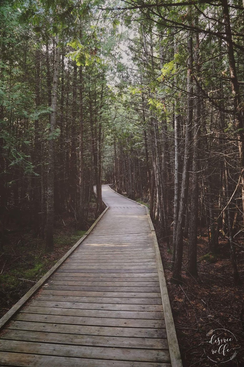 Brokenhead Wetland Interpretive Trail | 1 km south of and 12, 59 Provincial Trunk Hwy 12, Beaconia, MB R0E 0B0, Canada | Phone: (204) 250-4359