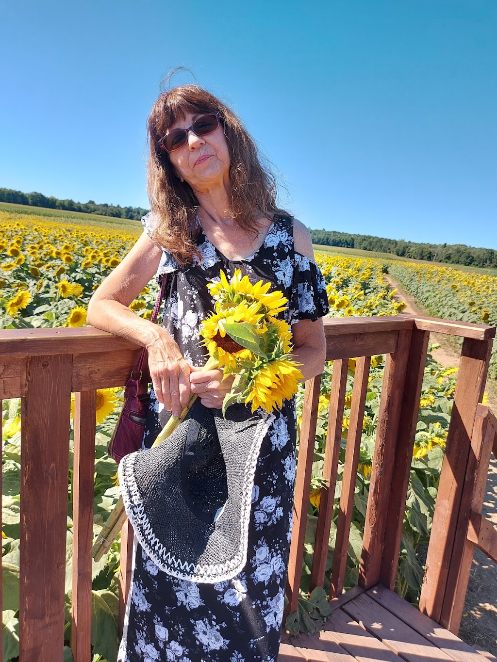 Bragg Farms | 3048 Concession Rd 3, Bowmanville, ON L1C 3K5, Canada | Phone: (905) 623-9198