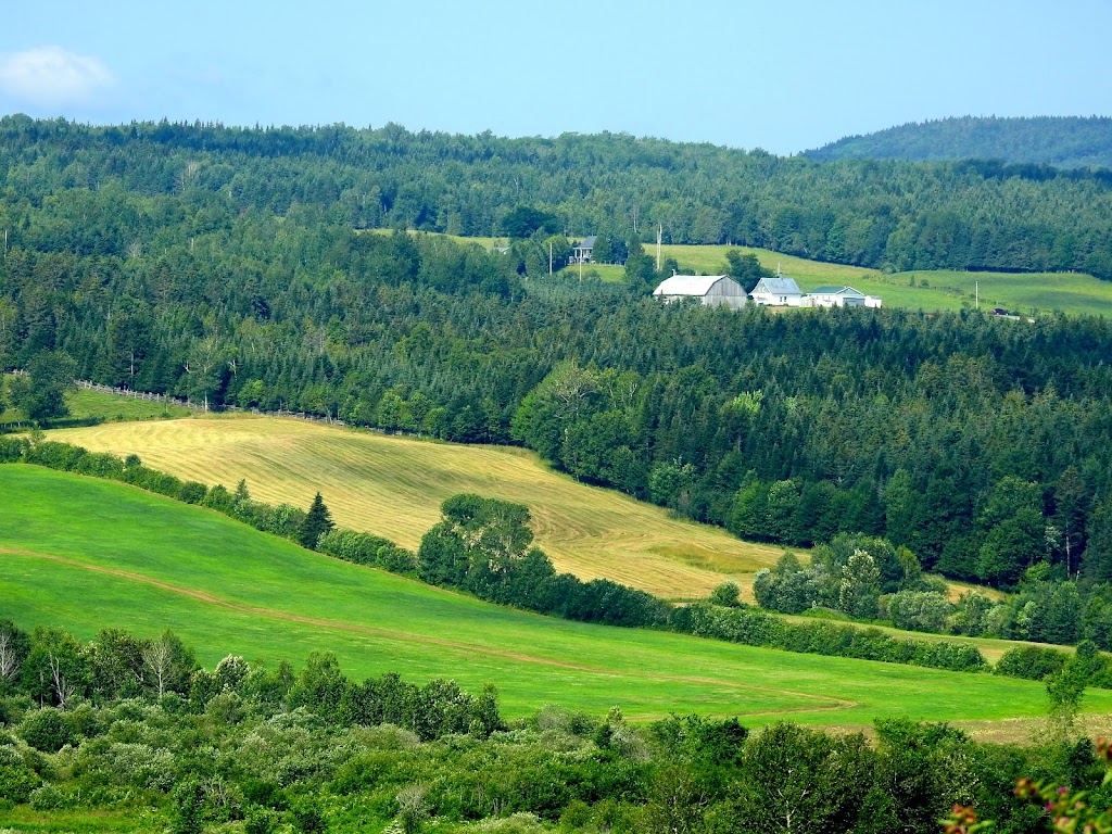 Municipalité de St-Léon-de-Standon | 100a Rue Saint-Pierre, Saint-Léon-de-Standon, QC G0R 4L0, Canada | Phone: (418) 642-5034