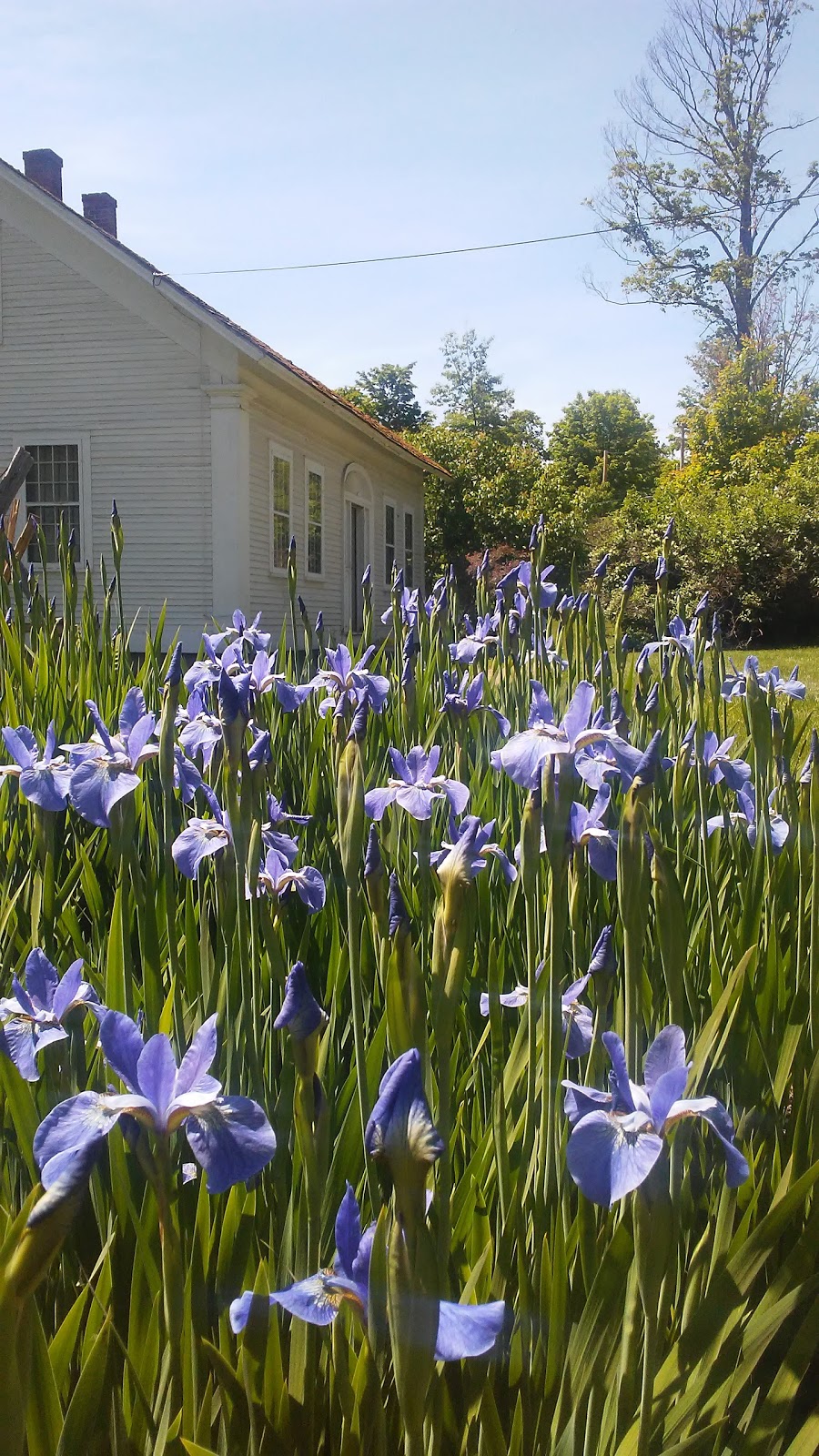 Old Stone House Museum | 109 Old Stone House Rd, Brownington, VT 05860, USA | Phone: (802) 754-2022