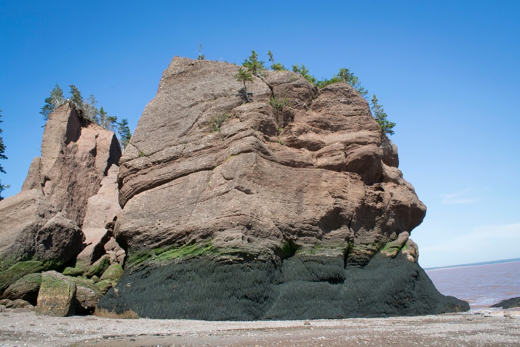 Hopewell Rocks Park | 131ch, Discovery Rd, Hopewell Cape, NB E4H 4Z5, Canada | Phone: (877) 734-3429
