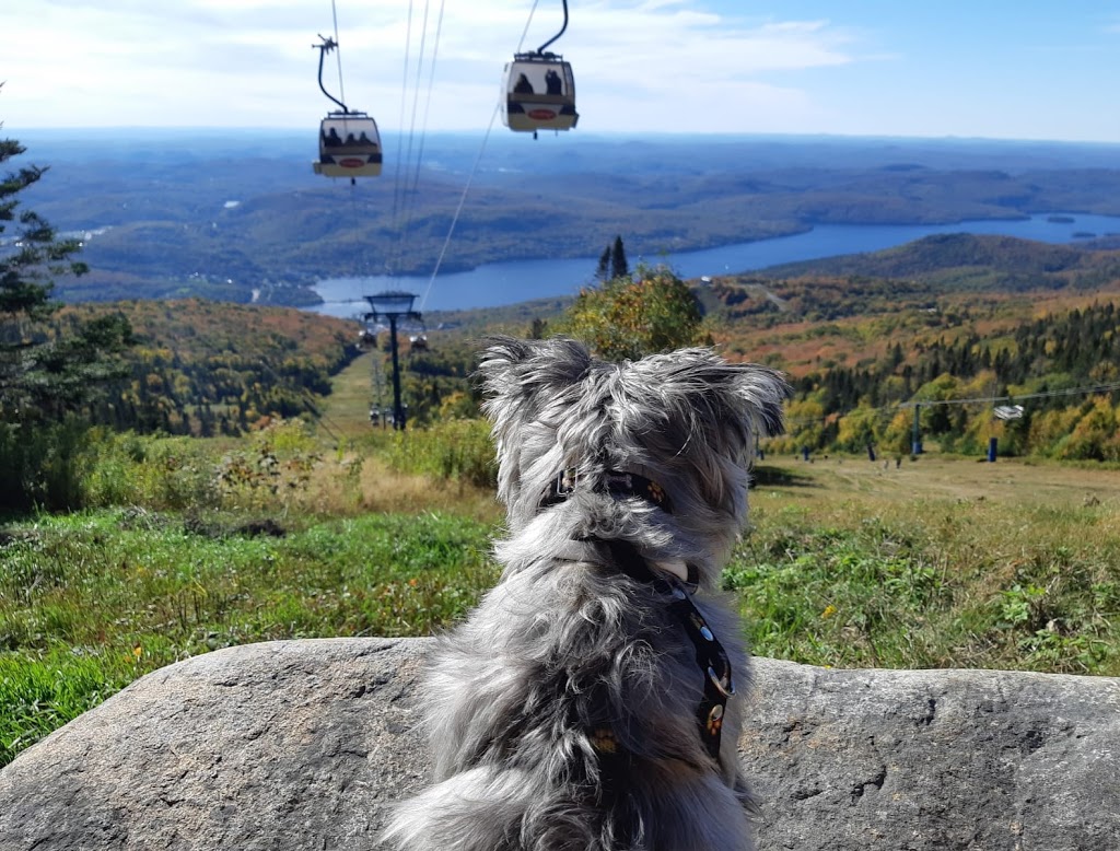 My Tremblant Resort | 108 Chemin des Quatre-Sommets App 3, Mont-Tremblant, QC J8E 1C6, Canada | Phone: (514) 927-6167