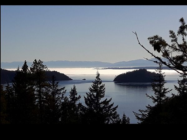 Heidi Ridgway, Royal LePage Advance Realty | Cedar Dr, Quathiaski Cove, BC V0P 1N0, Canada | Phone: (250) 202-2217