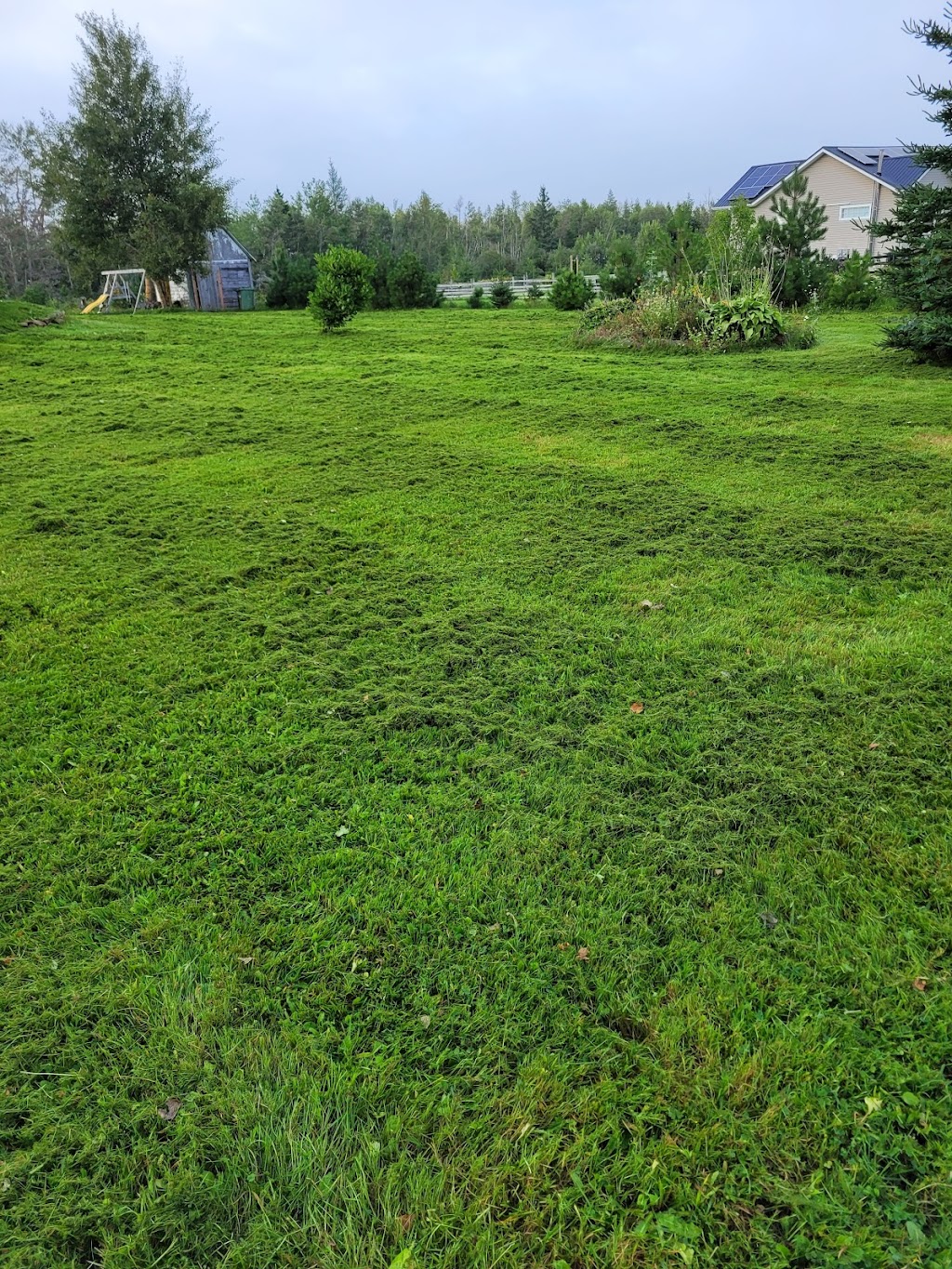 Efficient Lawn care | 181 Watts Rd, York, PE C0A 1P0, Canada | Phone: (782) 377-1039