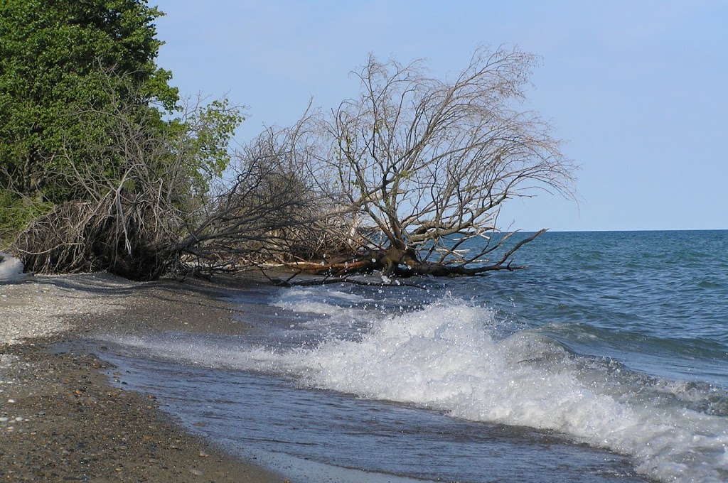 Rondeau Provincial Park | 18050 Rondeau Park Road, Morpeth, ON N0P 1X0, Canada | Phone: (519) 674-1750
