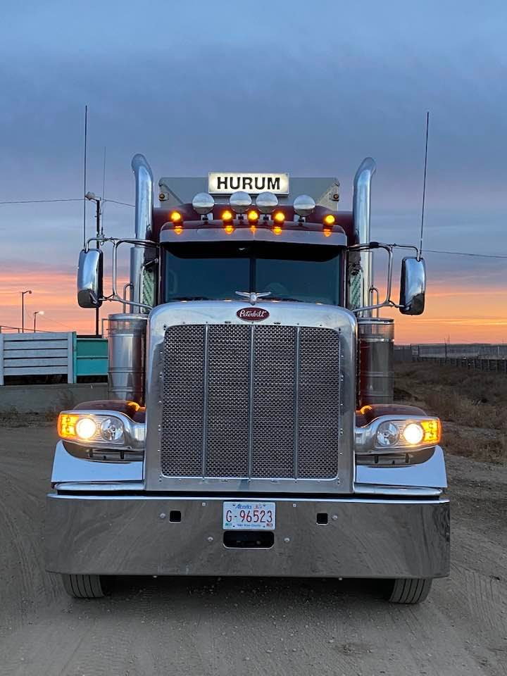 Hurum Trucking Livestock Hauling | Box 93, 5228 58 Ave, Viking, AB T0B 4N0, Canada | Phone: (780) 385-0507
