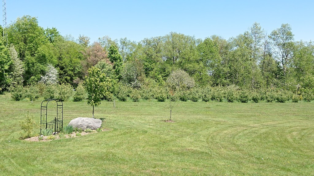Green Acres Tree and Solar Farm | 1651 4 Line N, Shanty Bay, ON L0L 2L0, Canada | Phone: (705) 812-0741