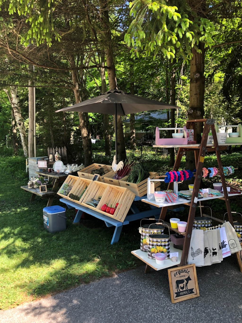 blue coop boutique & market | 502 Abenaki Dr, Kincardine, ON N2Z 2X3, Canada | Phone: (519) 404-2939