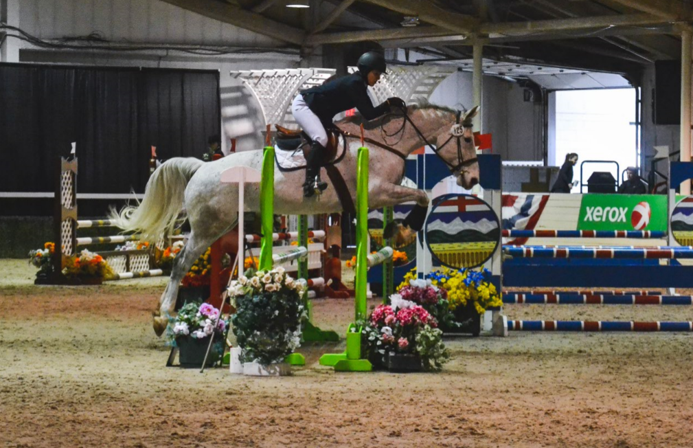 NorthernGates Stables | 29065 Melrose Road, Springfield, MB, Box 6 Group 19 RR2, Dugald, MB R0E 0K0, Canada | Phone: (204) 444-5416