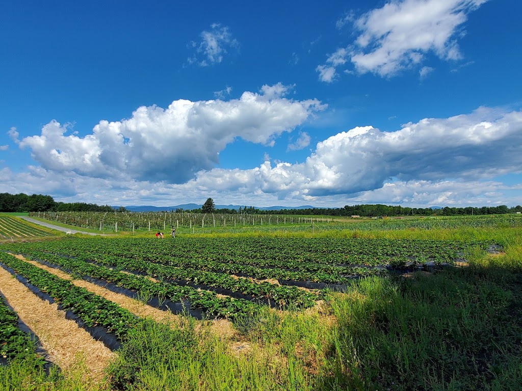 Polyculture Plante 1987 inc. | 8684 Chem. Royal, Sainte-Pétronille, QC G0A 4C0, Canada | Phone: (418) 828-9603
