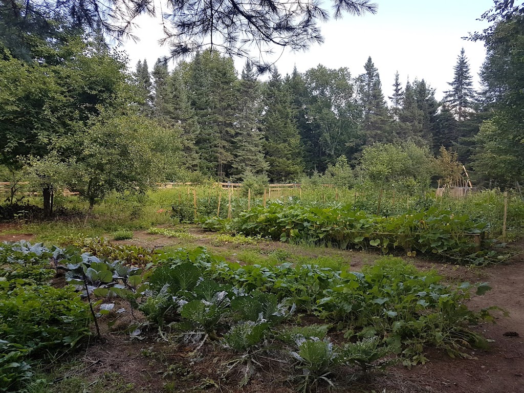 Les Fées Sorcières s.e.n.c. | 330 Chem. des Iles, LAscension, QC J0T 1W0, Canada | Phone: (873) 225-0181
