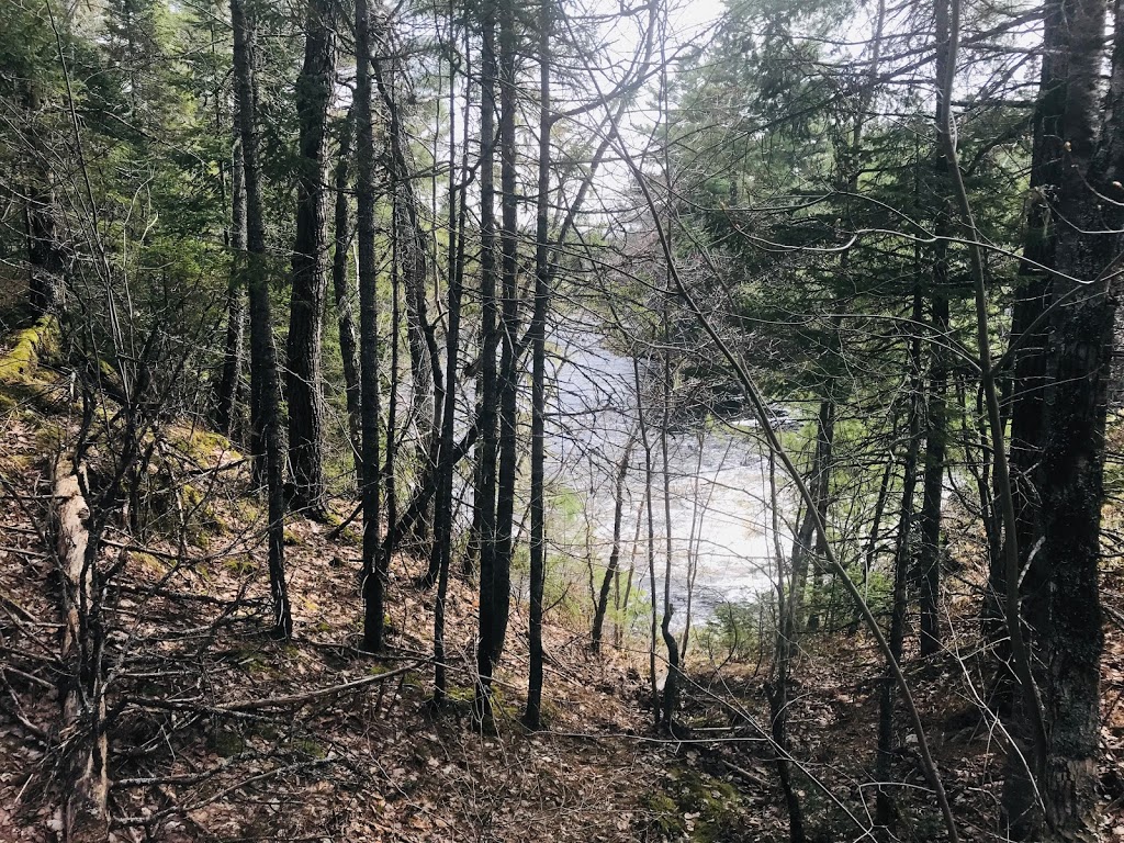 Indian Falls | 1591 Newburne Rd, Barss Corner, NS B0R 1A0, Canada | Phone: (709) 673-3227