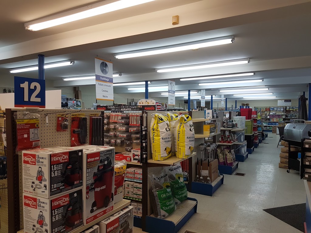 RONA Quincaillerie Poulin Lussier et filles inc. | 376 Rue Langevin, Saint-Odilon, QC G0S 3A0, Canada | Phone: (418) 464-2561