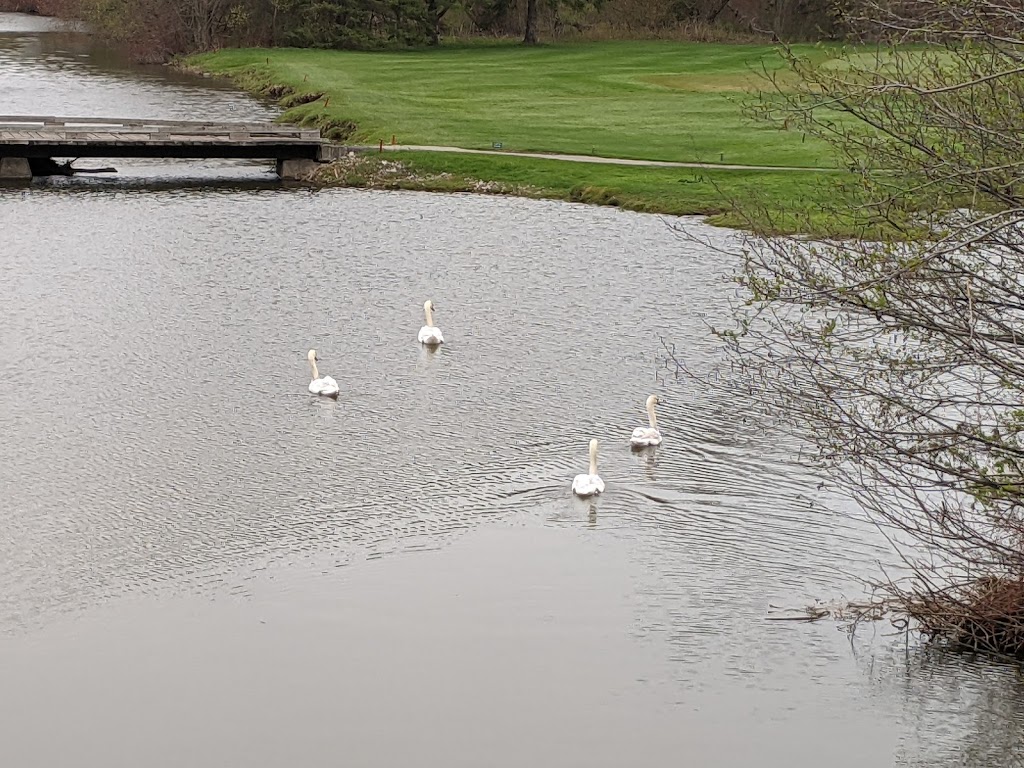 Stratford Country Club | 53 Romeo St N, Stratford, ON N5A 6S2, Canada | Phone: (519) 271-4212
