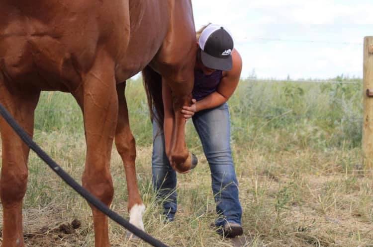 Thunderbird Therapy | Central Ave, Hays, AB T0K 1B0, Canada | Phone: (306) 370-0438