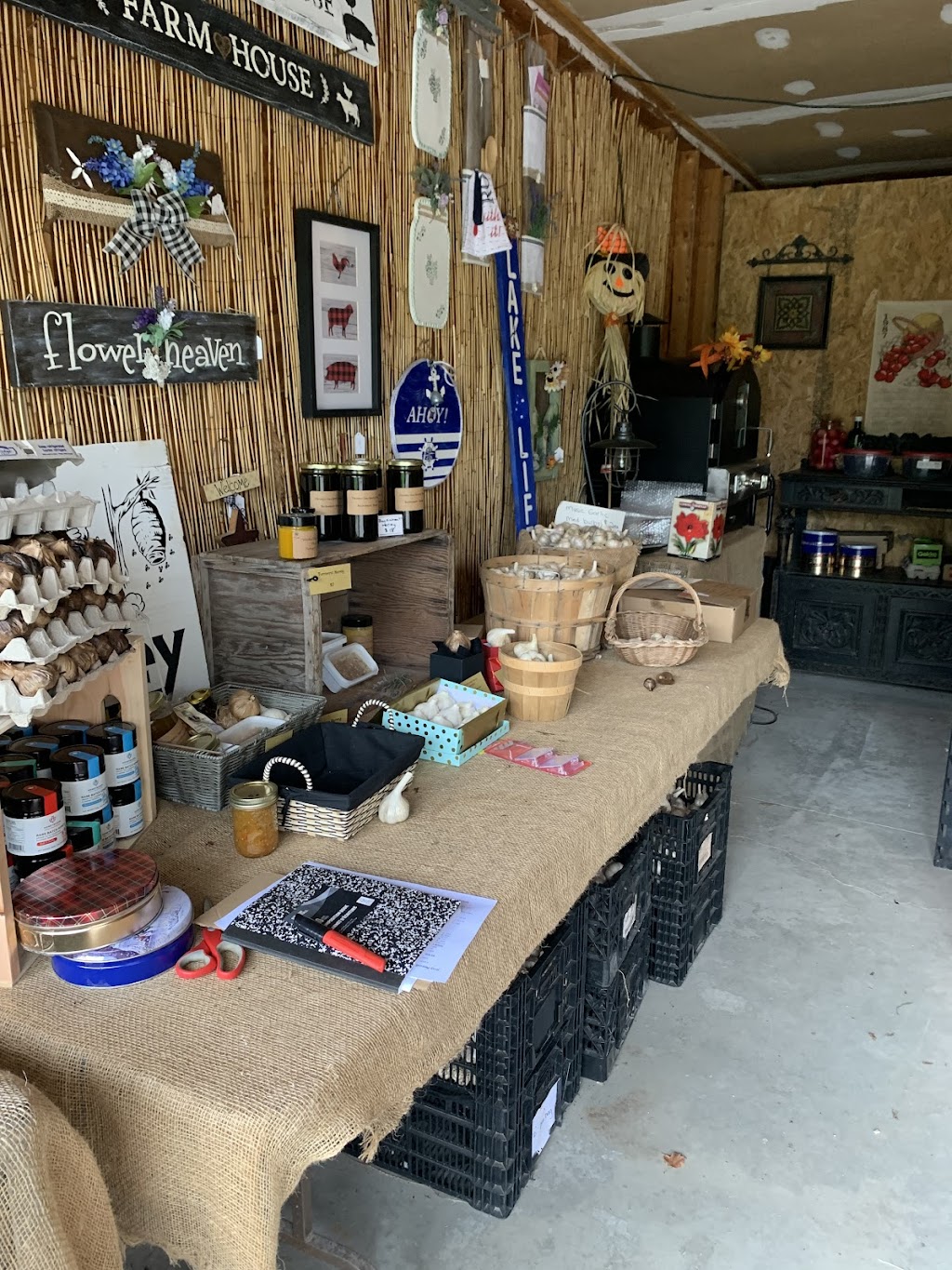Meadow View Garlic Farm | 679 Columbus Rd E, Oshawa, ON L1H 8L7, Canada | Phone: (905) 809-1629