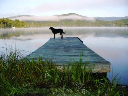 Domaine Lac Supérieur - Domain Lake Superior | 162 Chemin Tour du Lac, Lac-Supérieur, QC J0T 1P0, Canada | Phone: (514) 844-4885