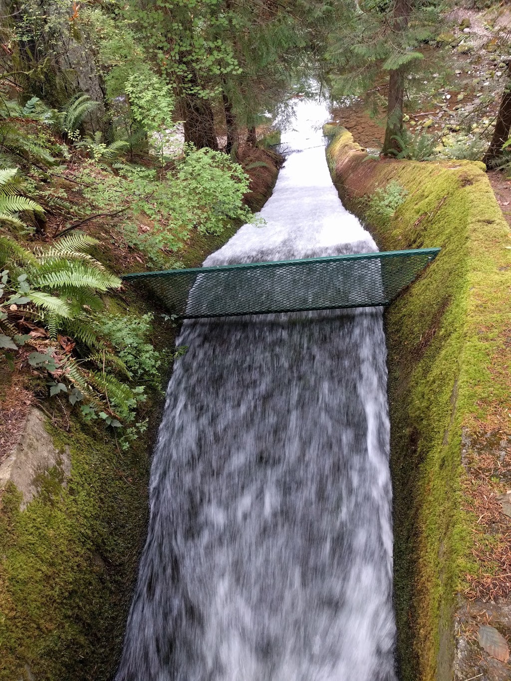 Whatcom Falls Park | 1401 Electric Ave, Bellingham, WA 98229, USA | Phone: (360) 778-7000
