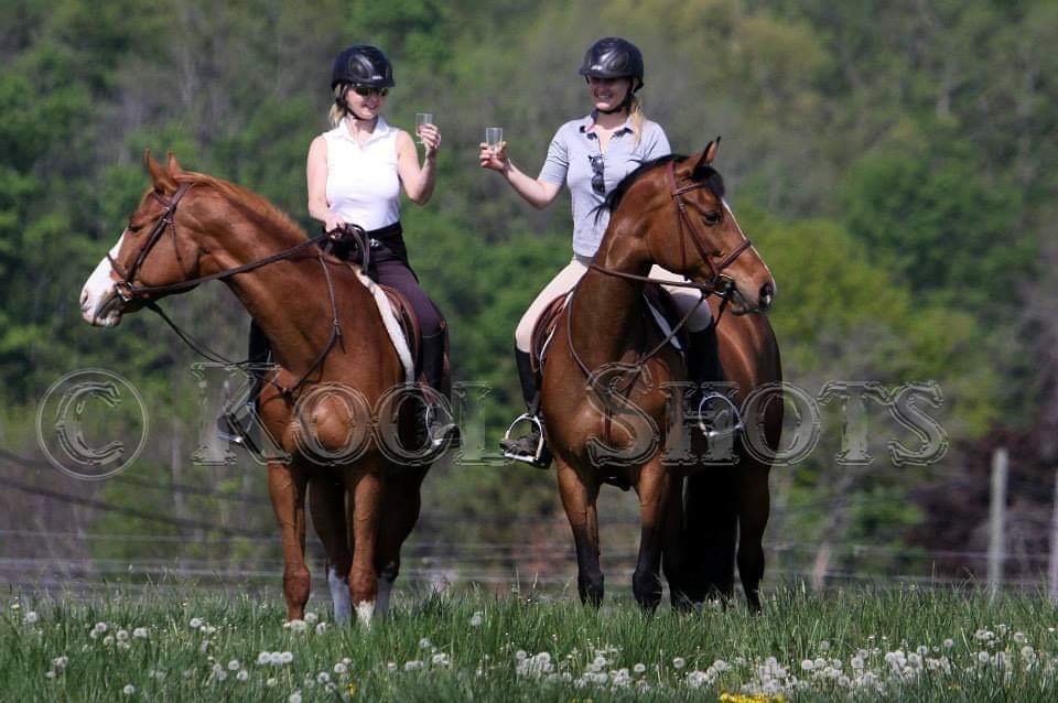 Bridlewood Equestrian | 8735 Milburough Town Line, Milton, ON L0P 1B0, Canada | Phone: (905) 407-0827
