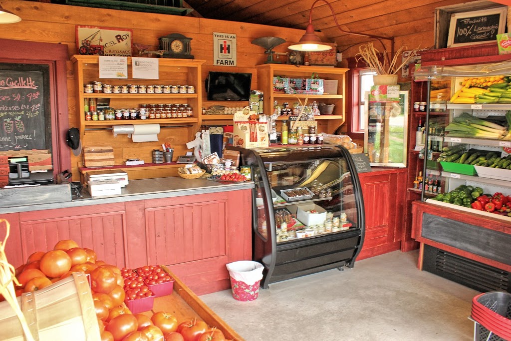 Gaétan Roy Strawberries | 1015 Chemin de Joliette, Lanoraie, QC J0K 1E0, Canada | Phone: (450) 887-0893