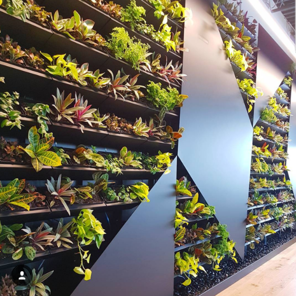 Seasonal Impact | 6400 30 St NW, Edmonton, AB T6P 1J6, Canada | Phone: (780) 504-1317