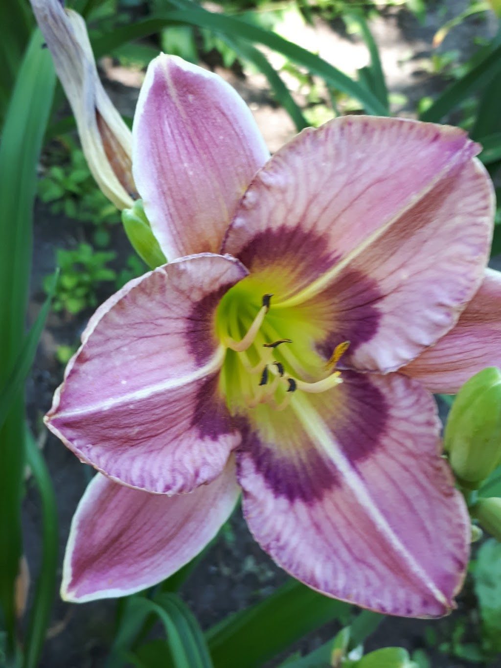 Mansfield Heritage Farm | 588383 10 Sideroad, Mansfield, ON L0N 1M0, Canada | Phone: (249) 877-3075
