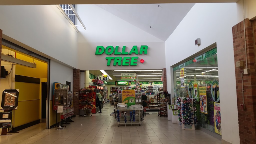 Dollar Tree | 161 Silvercreek Pkwy N, Guelph, ON N1H 3T2, Canada | Phone: (519) 763-7437