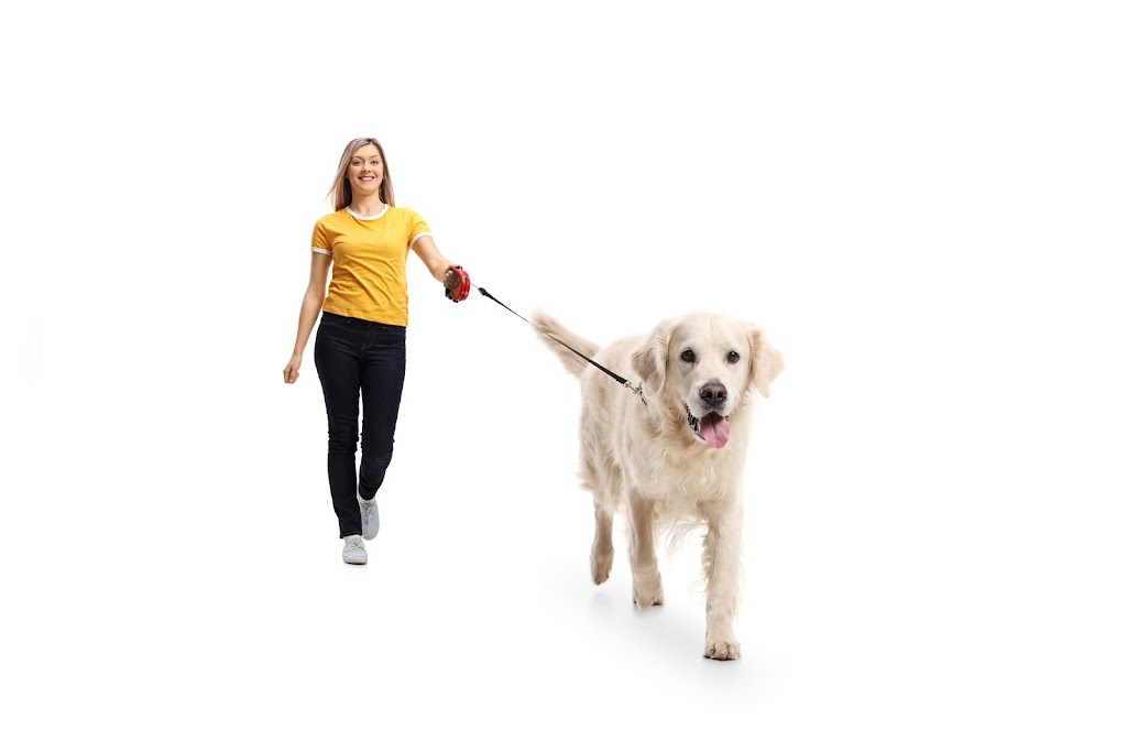 Let The Dog Out -On demand | 3 Boulder Crescent, Guelph, ON N1G 5A3, Canada | Phone: (519) 835-5836