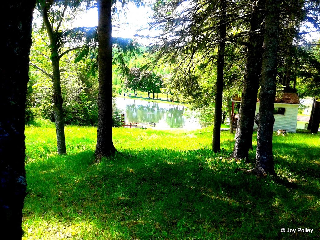 LORDA | 1480 NS-289, Westville, NS B0K 2A0, Canada | Phone: (902) 396-4470