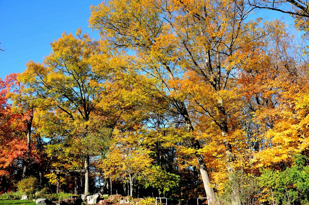 Richard F C Mortenson Park | 1665 Burnhamthorpe Rd W, Mississauga, ON L5L 3C8, Canada
