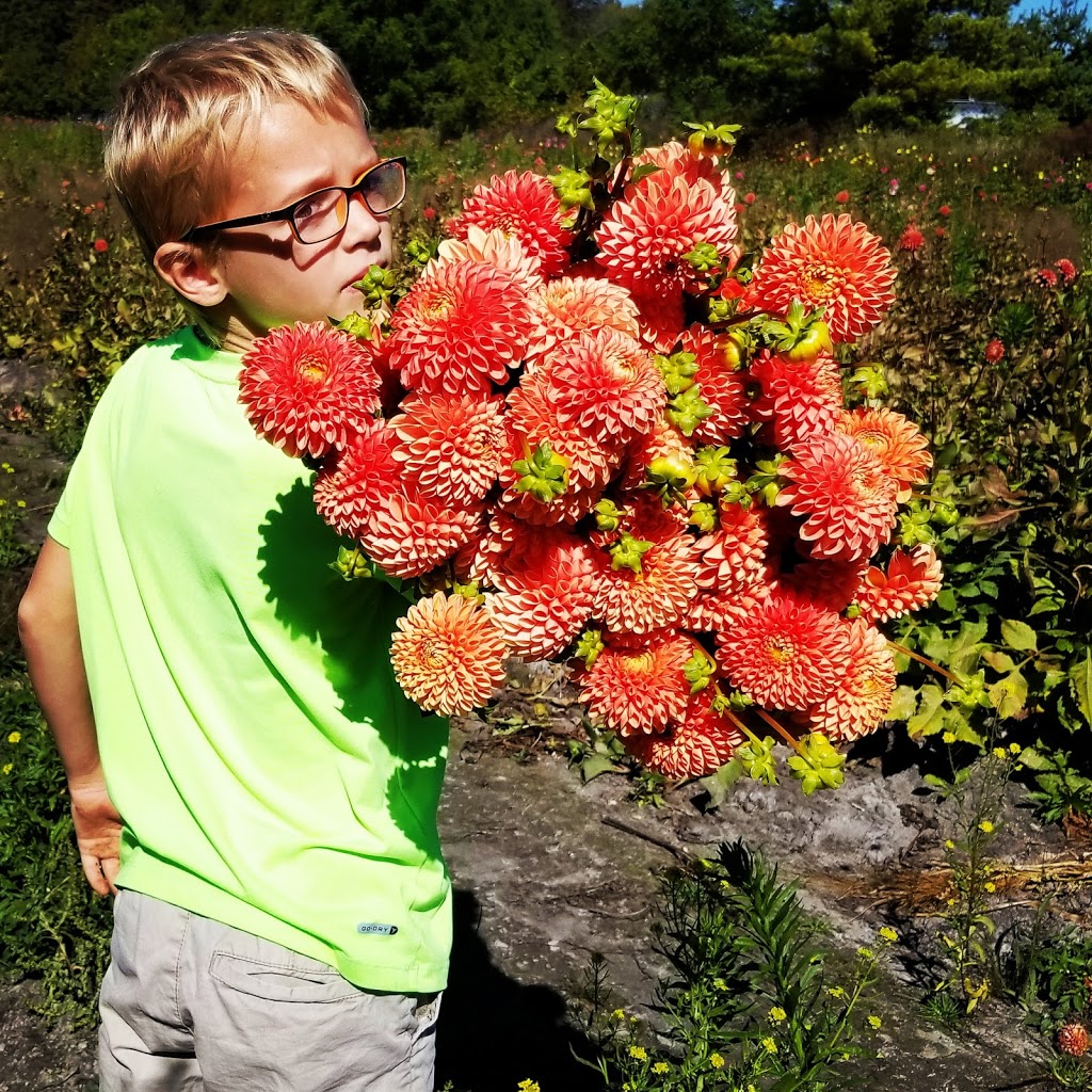 Creekside Growers | 692 Windham Road 11 RR2, Delhi, ON N4B 2W5, Canada | Phone: (905) 746-9253