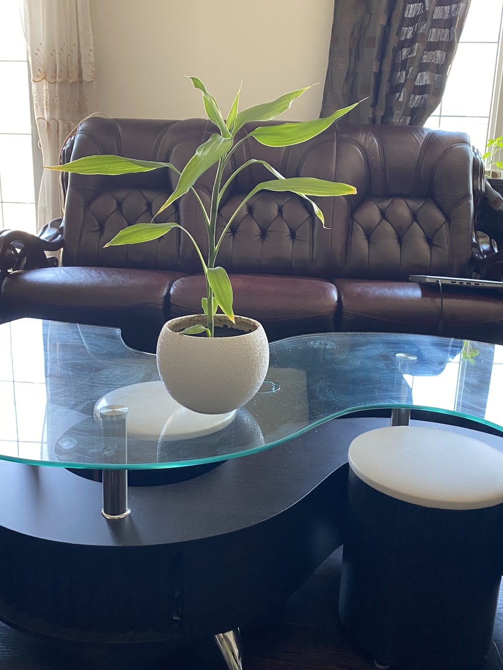 The Green Indoor | 3062 Mistletoe Gardens, Oakville, ON L6M 0Y9, Canada | Phone: (647) 296-9260