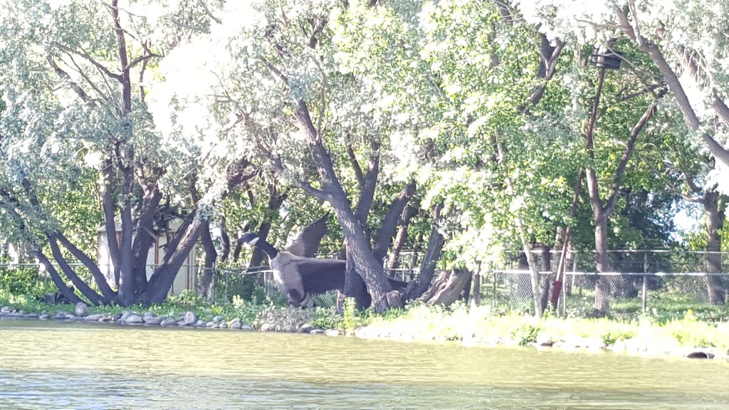 Evraz Park and Pool | 190, Zehner, SK S0G 5K0, Canada | Phone: (306) 924-7700