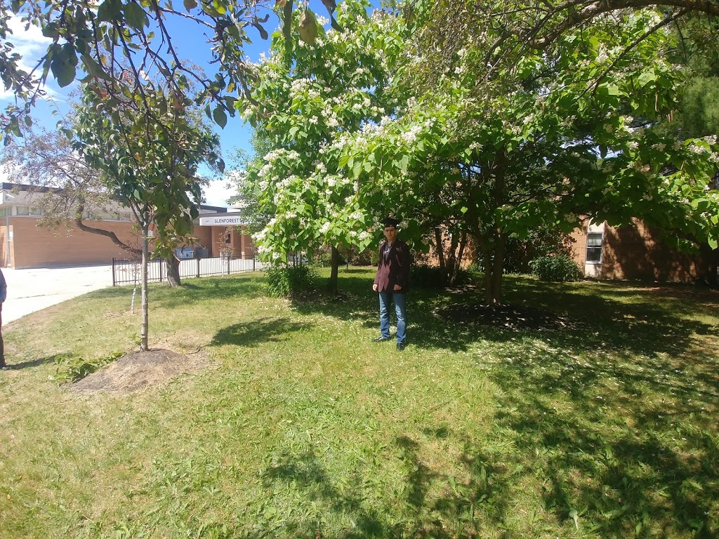 Glenforest Pool | 3575 Fieldgate Dr, Mississauga, ON L4X 2J6, Canada | Phone: (905) 615-4630